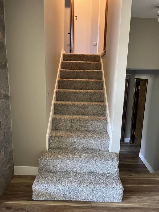 Staircase with new carpet