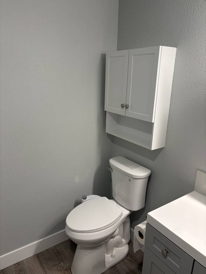 After: new toilet and over-toilet cabinet